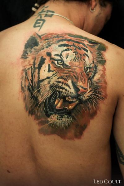Chinese Tiger Realistic tattoo by Led Coult