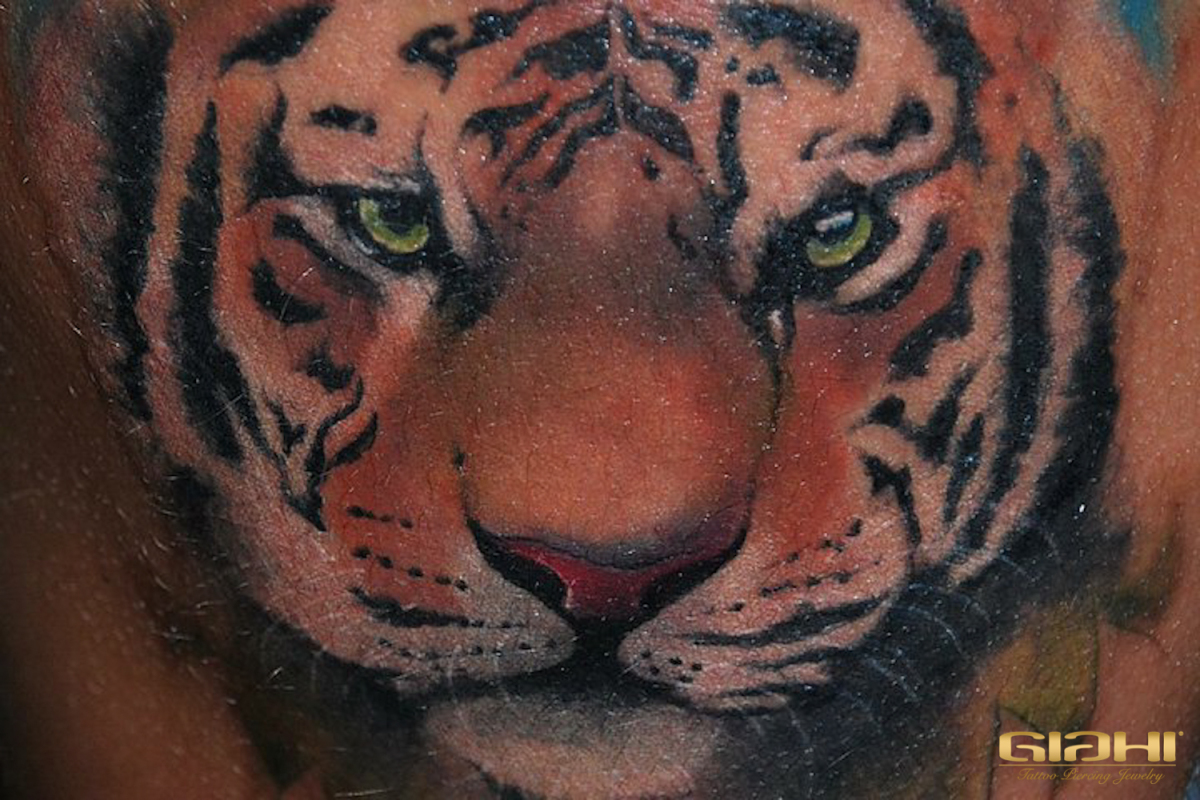 Realistic tiger tattoo by Szilard