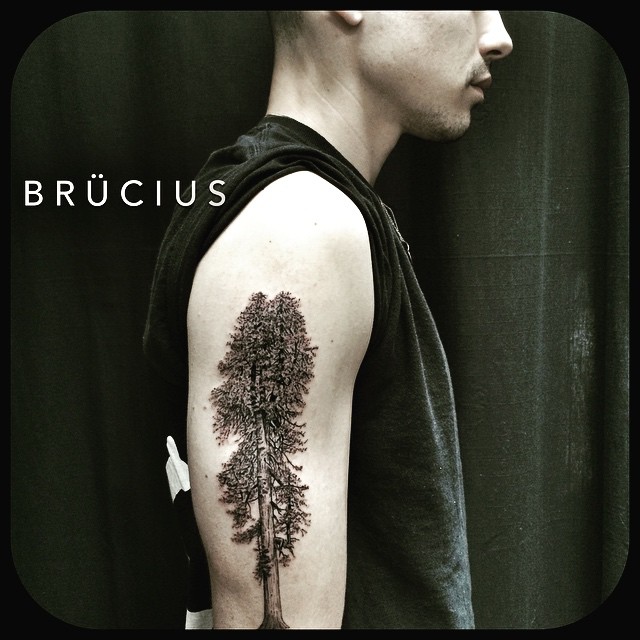 Giant Tree Tattoo on Shoulder