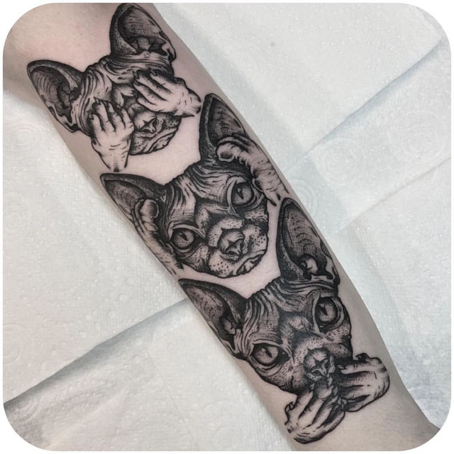 Sphynx cats heads tattoos on arm