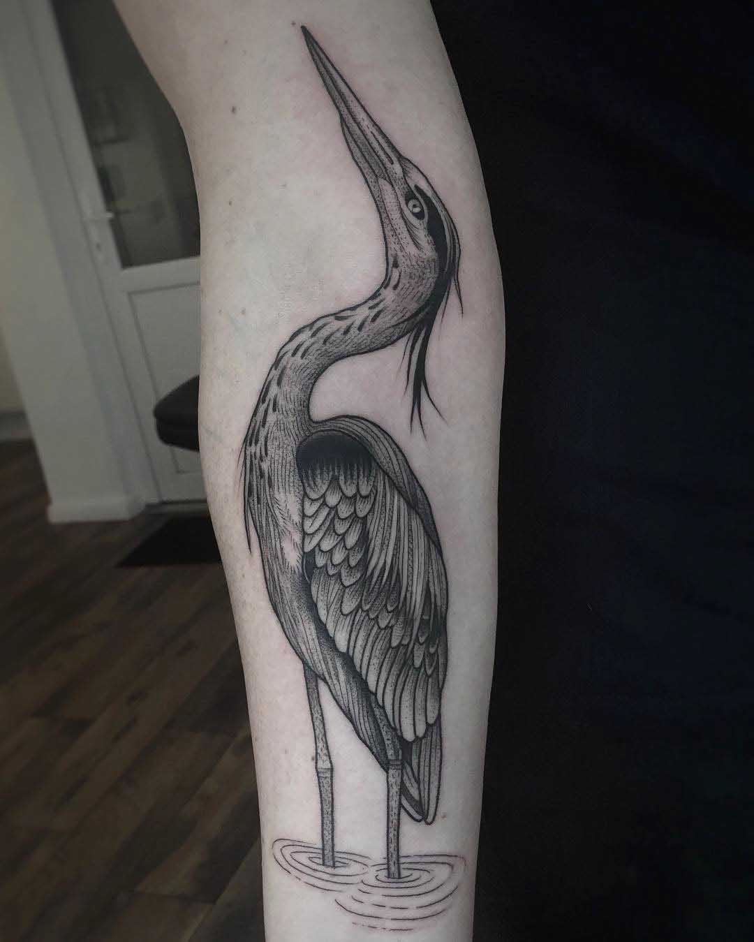 Tatto heron on arm
