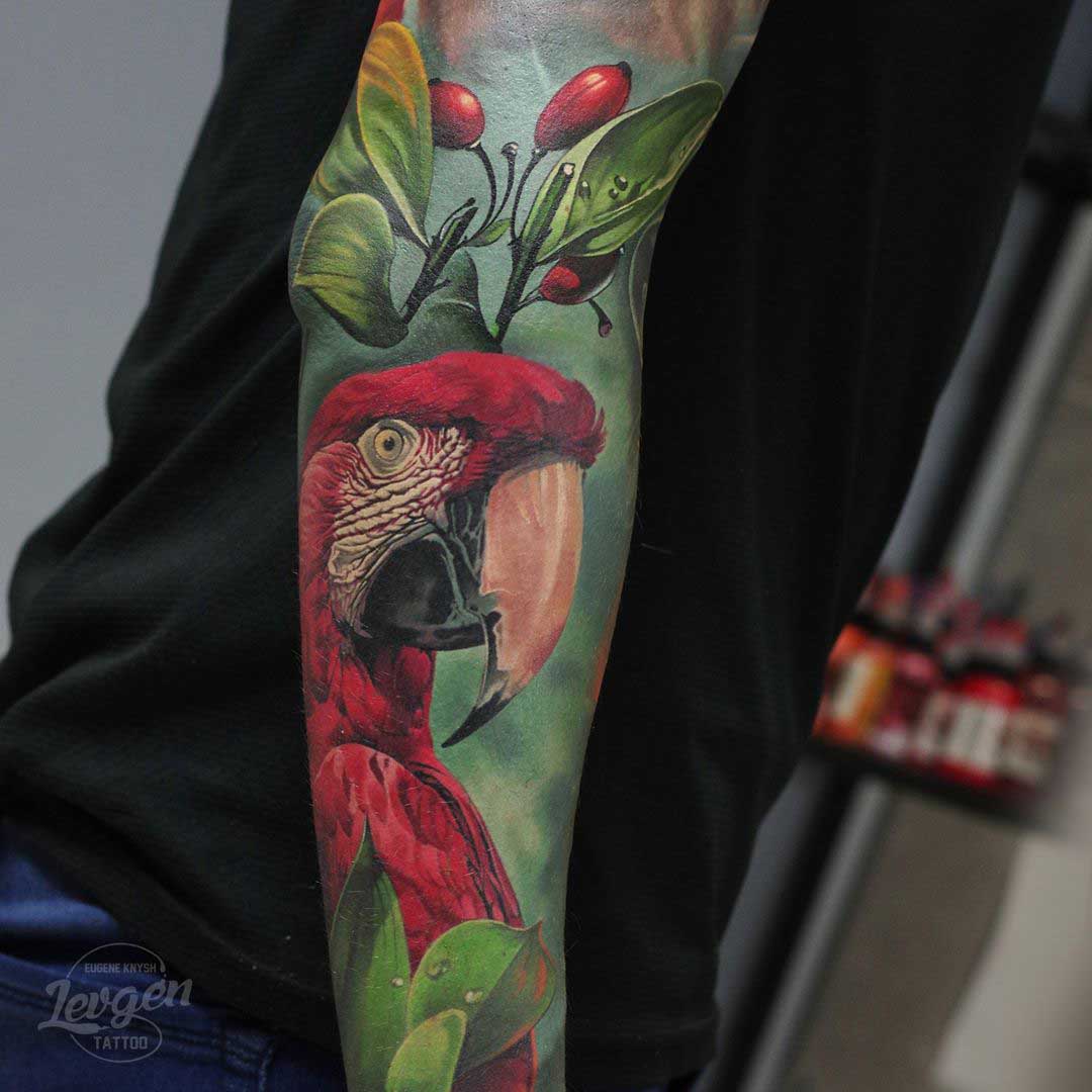 realistic parrot tattoo on forearm