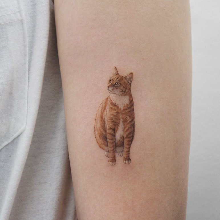 small cat tattoo